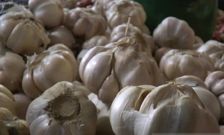 Mantan Mentan: Bulog Tak Perlu Impor Bawang Putih Lagi