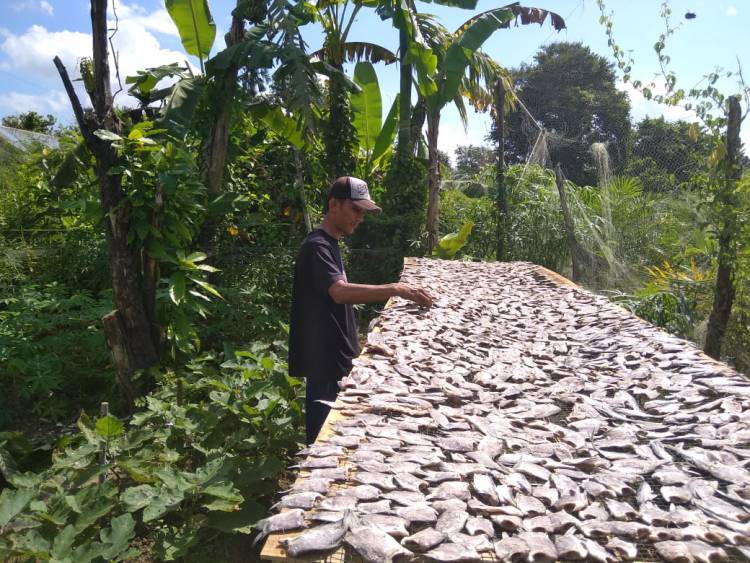 Bisnis Ikan Asin Muarojambi Menjanjikan, Ini Permintaan Warga