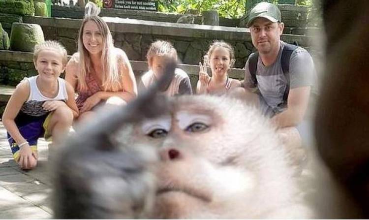 Monyet Nakal kasih Jari Tengah Saat Turis Mau Foto