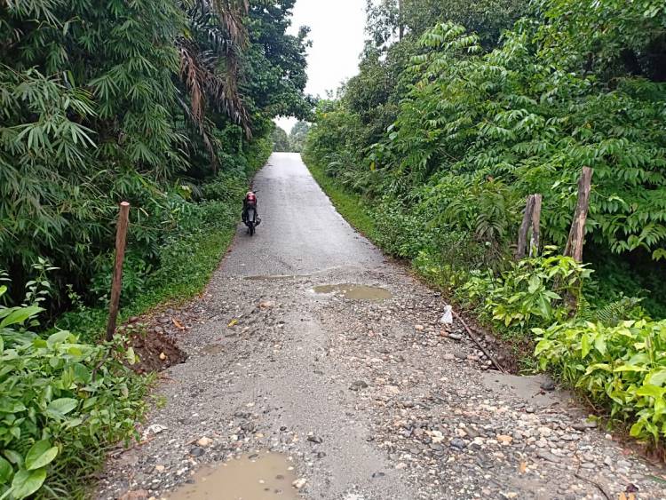 Jalan Empat Desa di Sarolangun Terancam Putus, Begini Kata PU