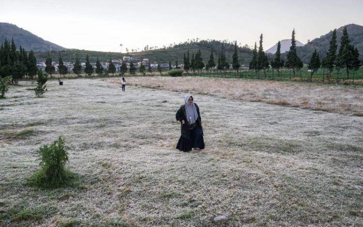 Suhu Dingin di Dieng Akibat Monsun Dingin Australia
