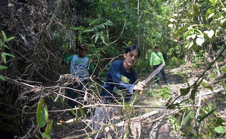 Hutan Rimbang Baling Riau Kini Dijaga Pengawal Adat Dubalang