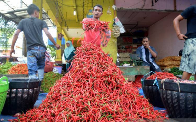 Harga Cabai Merah di Baturaja Capai Rp100.000/Kilogram