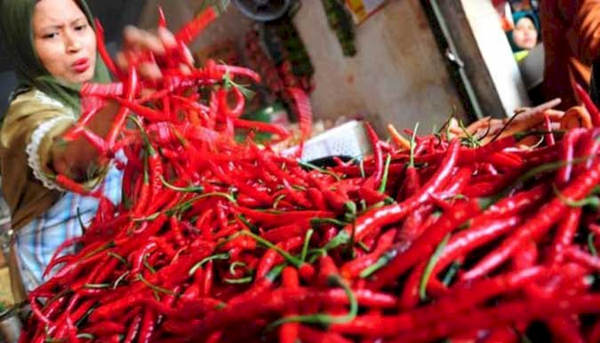Harga Cabai Merah Meroket Rp80.000/Kg