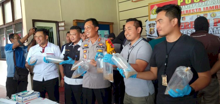 Mabes Polri Gagalkan Penyeludupan Ratusan Ribu Baby Lobster di Jambi
