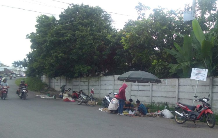 Pedagang Kucing-kucingan Satpol PP Berjualan di Tepi Jalan Pasar, Ini Alasannya...
