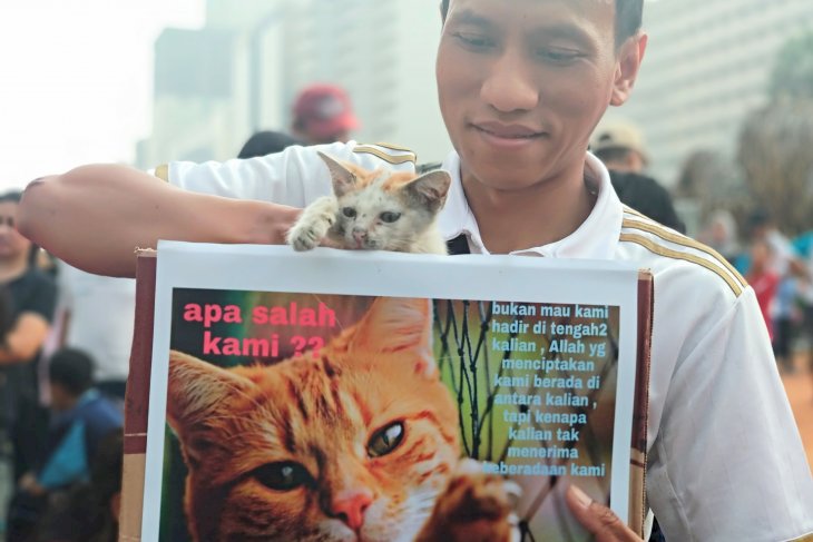 "KPK" Ajak Warga Stop Siksa Kucing