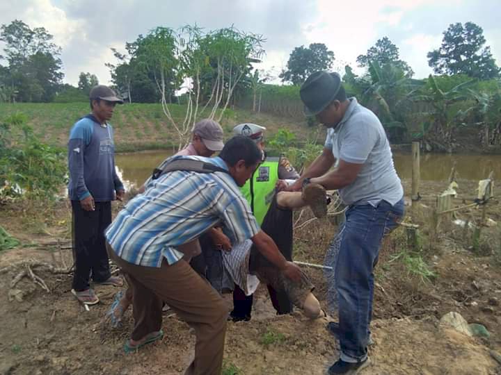Polisi Minta Warga Tak Terprovokasi Beredarnya Video "Mesuji Berdarah"