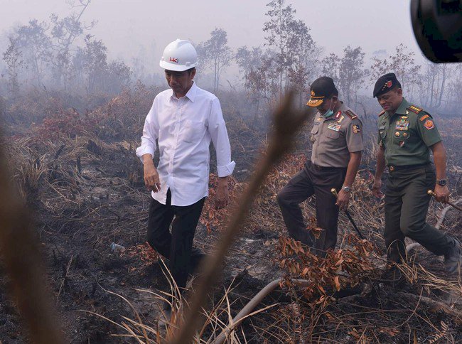 MA Tolak Kasasi Jokowi dalam Kasus Kebakaran Hutan di Kalimantan