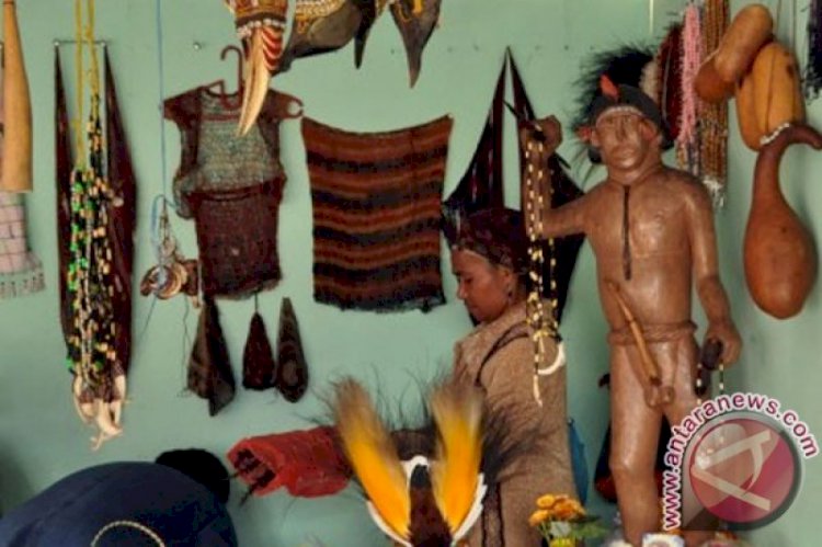 Peniliti Minta Warga Lestarikan Koteka