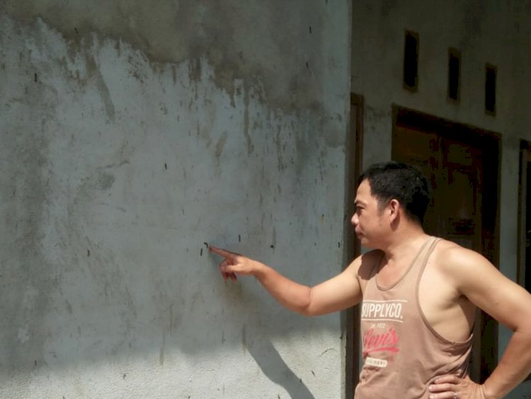 Hama Ulat Bulu Serang Pemukiman Warga Bungo