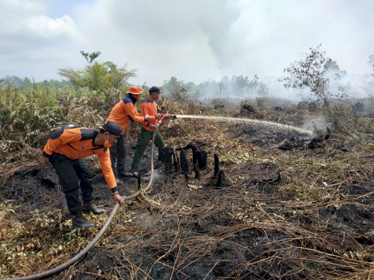 Tim Berjibaku Padamkan Api di Puluhan Hektar Lahan di Muaro Jambi