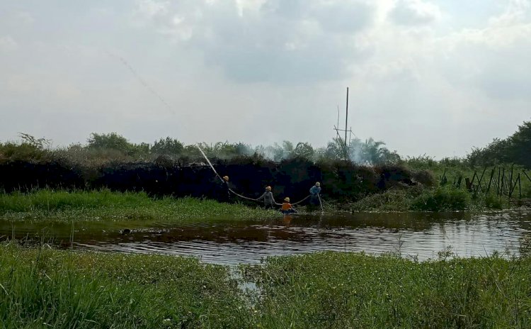 Lahan PT Kharisma Kemingking Terbakar, Manajemen: Tidak Ada Itu