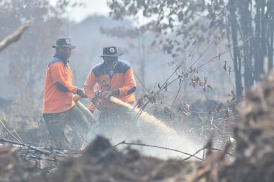 Waspada Asap, Kebakaran Lahan di Muarojambi Sempat Mencapai 35 Hektare per Hari