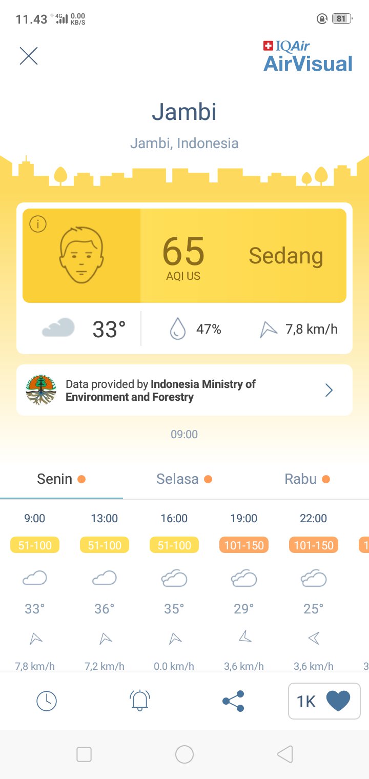 Dinas Kesehatan Provinsi Jambi Akui Udara Sehat Menurun, Kabupaten Minta Suplai Masker