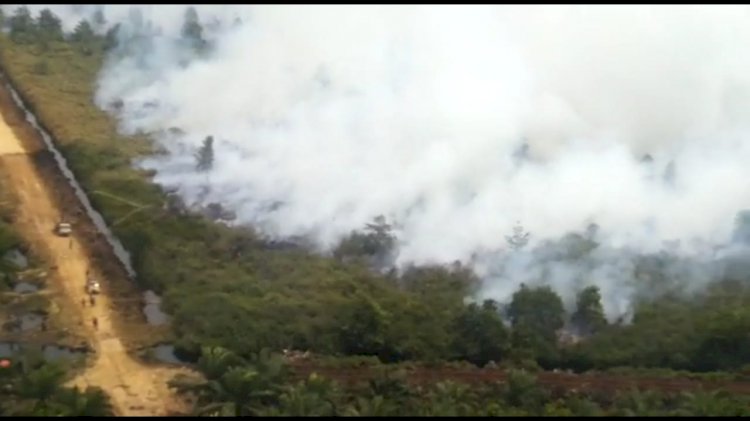 Walhi Jambi Sentil Pemerintah Daerah Harus Serius Atasi Karhutla