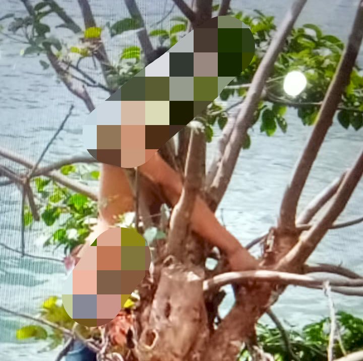 Heboh!! Pria Ditemukan Tewas Gantung Diri di Tepi Danau Pauh