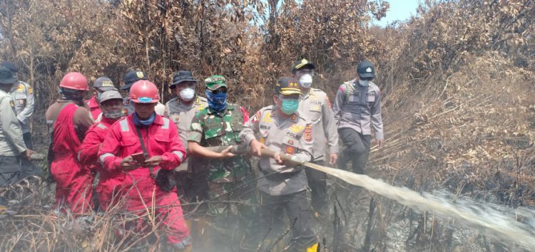 125 Hektar Karhutla di Muarojambi Kian Meluas