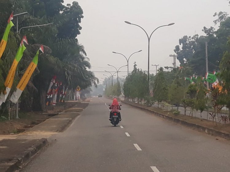 Kabut Asap Serang Muarojambi, ISPU Naik 79 Mg/L