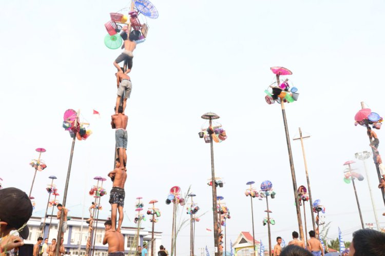 Seru! 54 Batang Perlombaan Panjat Pinang di Tungkal