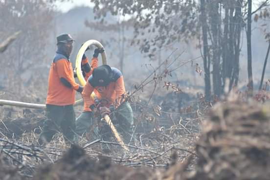 159 Hektar Lahan Terbakar, Ini Kawasan Darurat Karhutla di Muaro Jambi