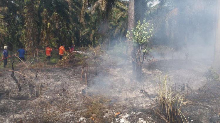 KLHK Segel 19 Perusahan, Satu Diantaranya di Provinsi Jambi