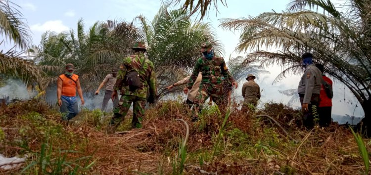 40 Hektar Lahan di Batang Asam Terbakar, Tim Padamkan Manual