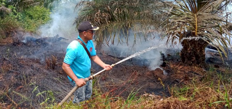 161,40 Hektar Hutan & Lahan Tanjab Barat Terbakar, BPBD: Lebih Dahsyat