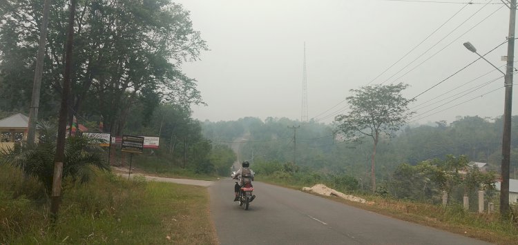Kabut Asap Mulai Menyelimuti Kampung Halaman Gubernur Jambi