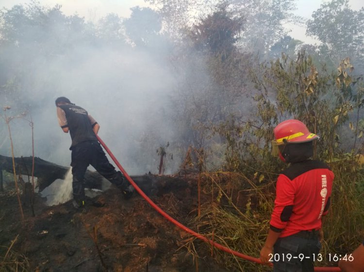 KLHK Sebut Karhutla: 42 Perusahaan Disegel, 4 Koorporasi Jadi Tersangka
