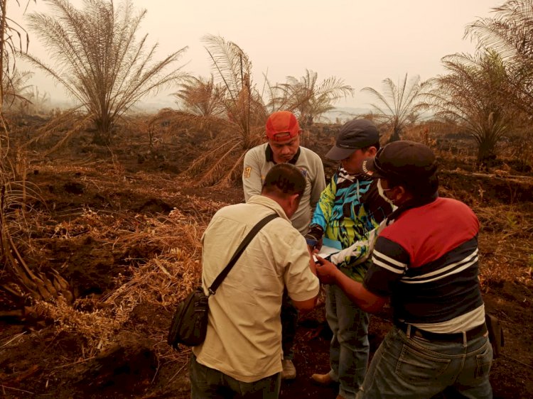 BREAKING NEWS! Manajemen PT BEP dan PT SMP Diperiksa Polisi Terkait Karhutla