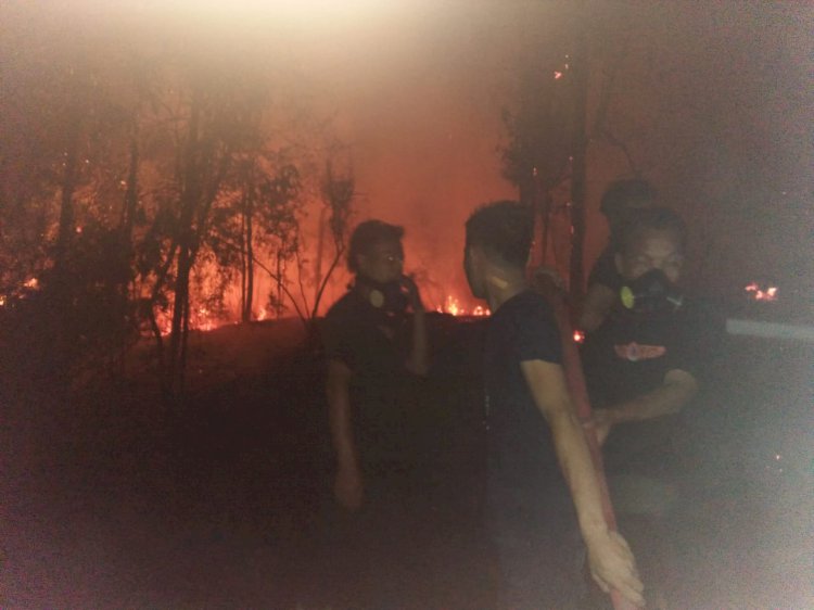 30 Hektar Lahan Warga Sungai Binjai Terbakar, Damkar Berjibaku Padamkan Api