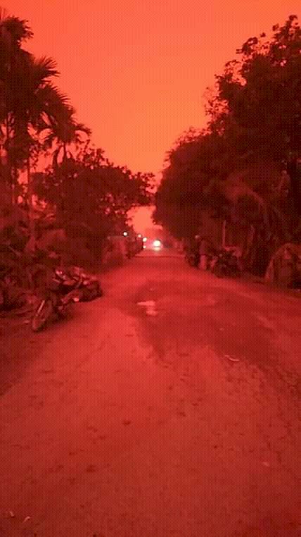 Jambi Diselimuti Kabut Asap, Begini Cara Menghindari Bahaya Polusi Udara