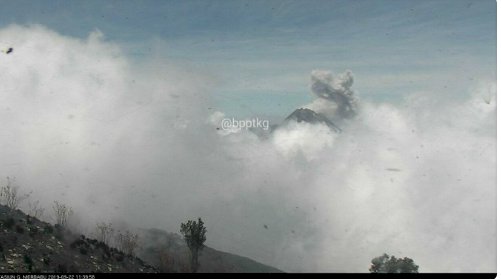 Gunung Merapi Muntahkan Awan Panas Setinggi 800 Meter