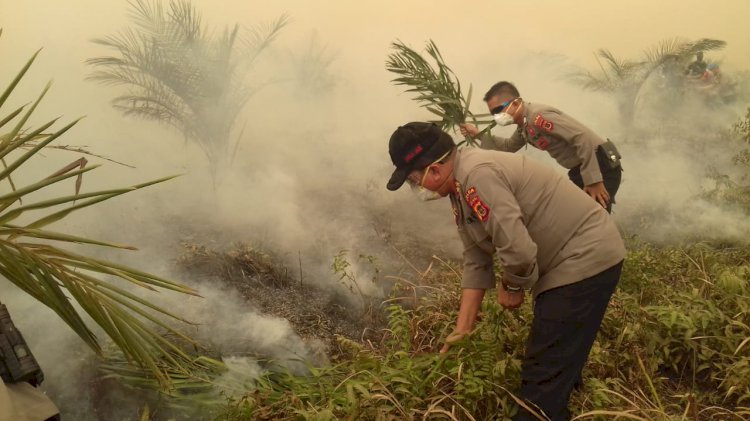 Ini Dia 18 Orang Perambah dan Pembakar Hutan di Konsesi PT Reki Ditetapkan Tersangka