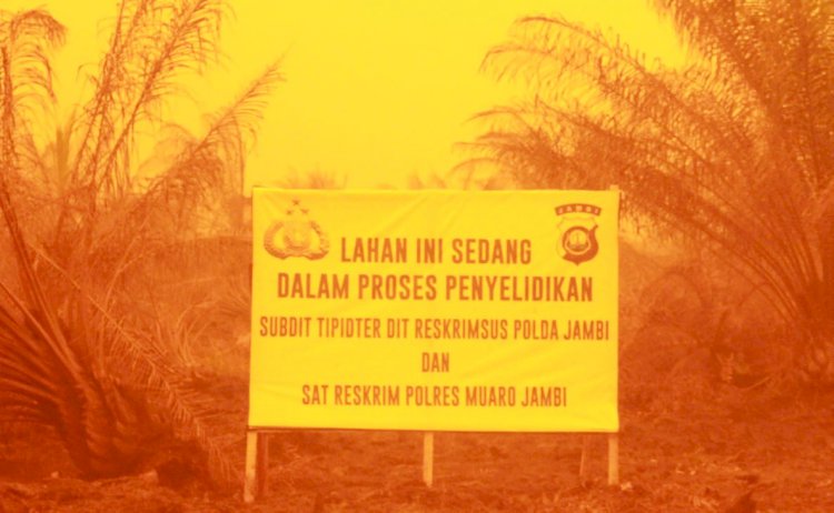 PT BEP Diduga Penyumbang Kabut Asap di Provinsi Jambi