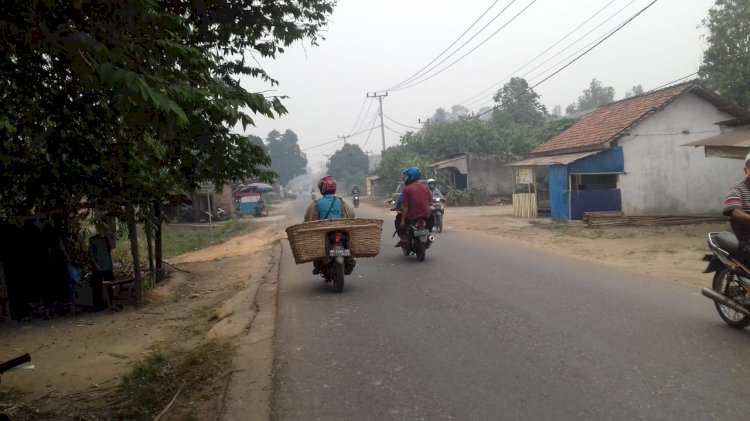 Berbahaya! ISPU Muarojambi di Angka 341 Mg/L, Firman: Daerah Karhutla Pasti Lebih Tinggi