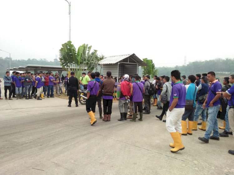 Ratusan Karyawan PT Star Rubber Bungo Mogok Kerja!