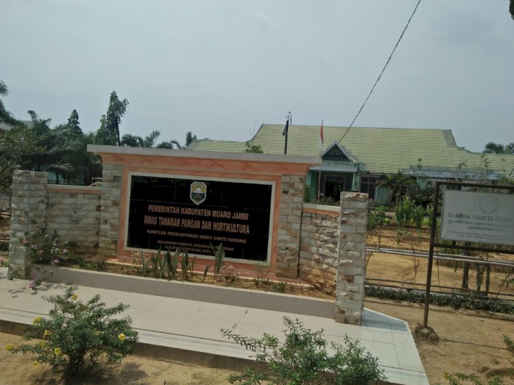 Ternyata, Tahun Lalu DAK Fisik Dinas TPH Muarojambi Rp1,6 Miliar Gagal Terserap