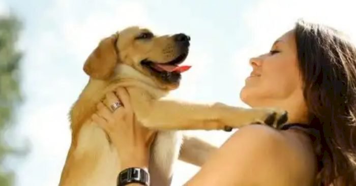 Frustasi Berkencan dengan Pria, Wanita Ini Ingin Menikah Dengan Anjing Peliharaan Serta Ajak Berhubungan Intim