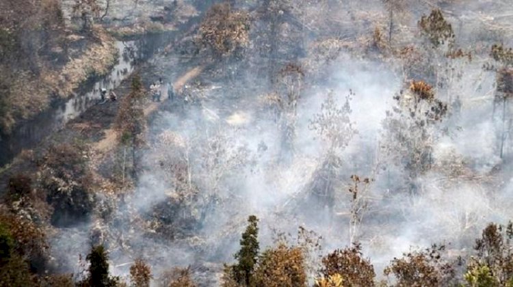 Akibat Karhutla, Harta Karun Kerajaan Sriwijaya Bermunculan