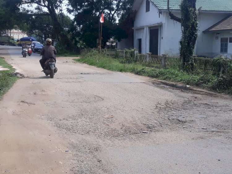 Warga Sebut Selama Ini Hanya Tambal Sulam, Jalan Sungaiduren Rusak dan Berlubang