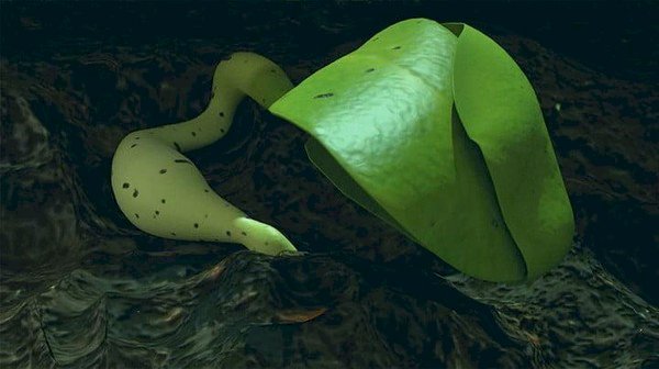 Pakai Robotika Chang'e China Sukses Tumbuhkan Tanaman di Bulan