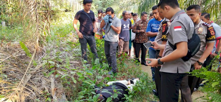 BREAKING NEWS!! Tukang Ojek Tewas Bersimbah Darah di Perkebunan Sawit, Diduga Korban Pembunuhan