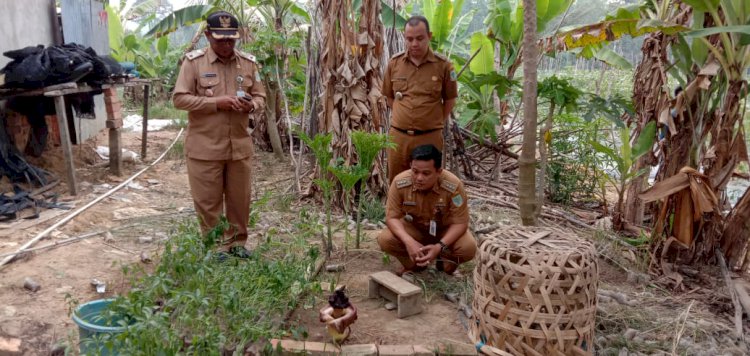 Warga Bagan Pete Dihebohkan Dengan Penemuan Bunga Bangkai Mekar