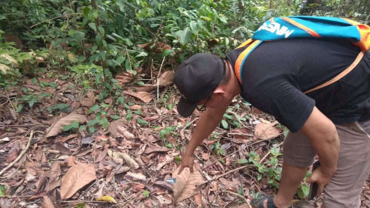 DUH! Bungkus Kondom Berserakan, Wisata Arboretum Diduga Jadi Tempat Mesum