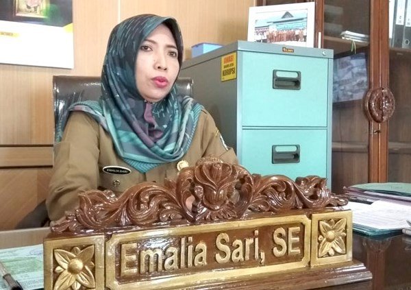 Emalia: Lelang Kendaraan Dinas Sarolangun Sumbangkan PAD Rp694 Juta, Lima Mobnas Tidak Laku