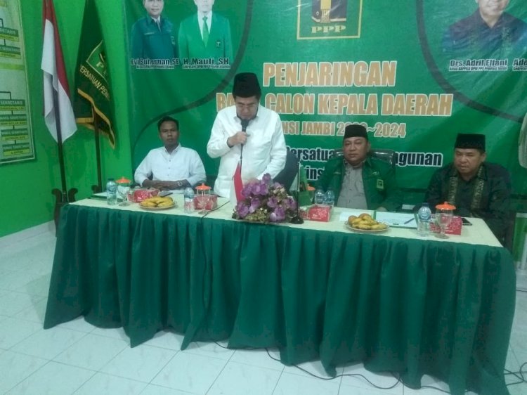 AJB Resmi Daftar Wagub di PPP