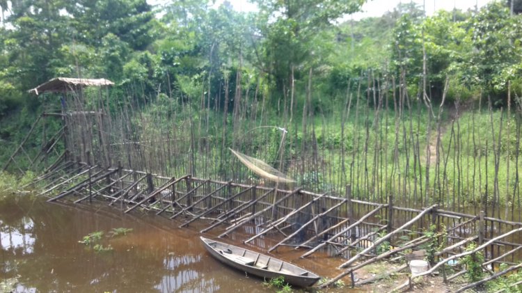 Ambatan, Kearifan Lokal Warga Pudak dalam Mencari Ikan