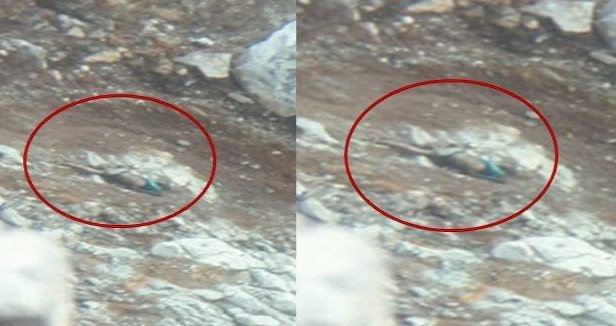 15 Hari Pencarian Warga Bungo Hilang di Gunung Dempo, Tim Wanadri Temukan Mayat Dekat Kawah Gunung